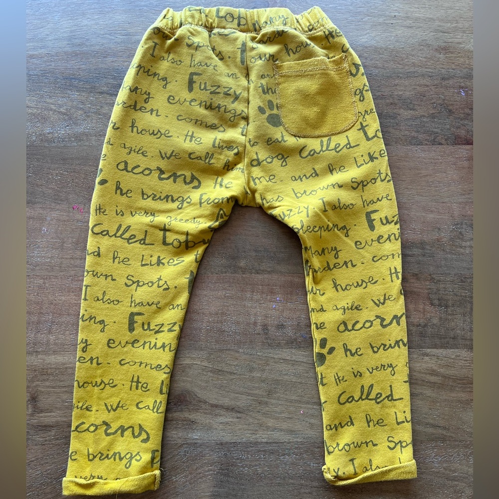 Zara pants - Picture 3 of 4
